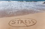 no stress no stress